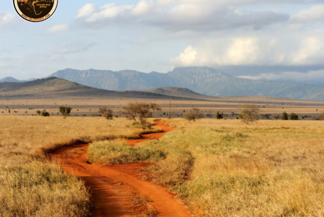 NALA Safari (Tsavo East and Taita Hills)